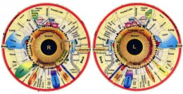 iridology2